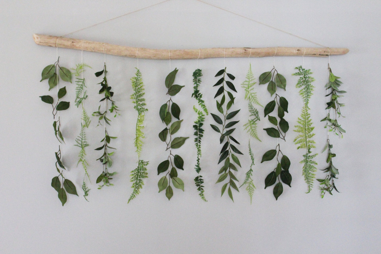 Decorative arrangement of green leaves hanging from driftwood on a white background