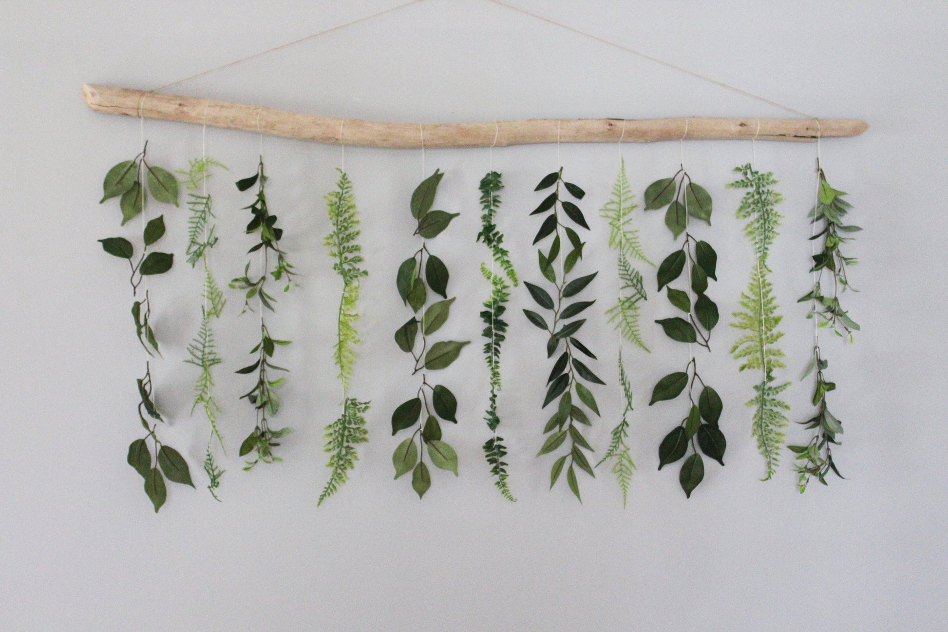 Decorative arrangement of green leaves hanging from driftwood on a white background