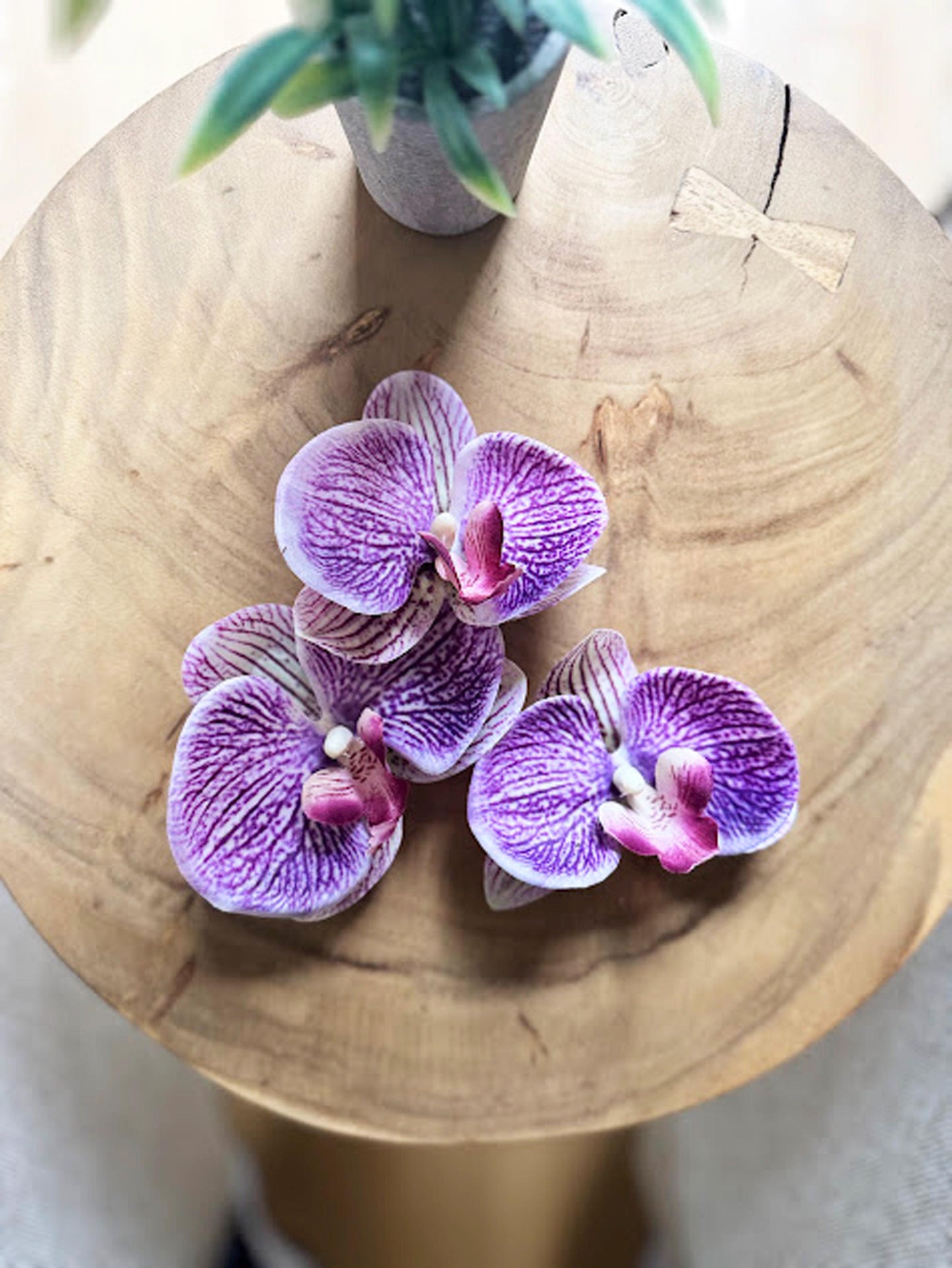Tropical Orchid Hair Pins